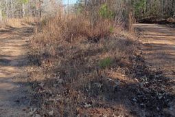 1164 Calvins Rd photo 4