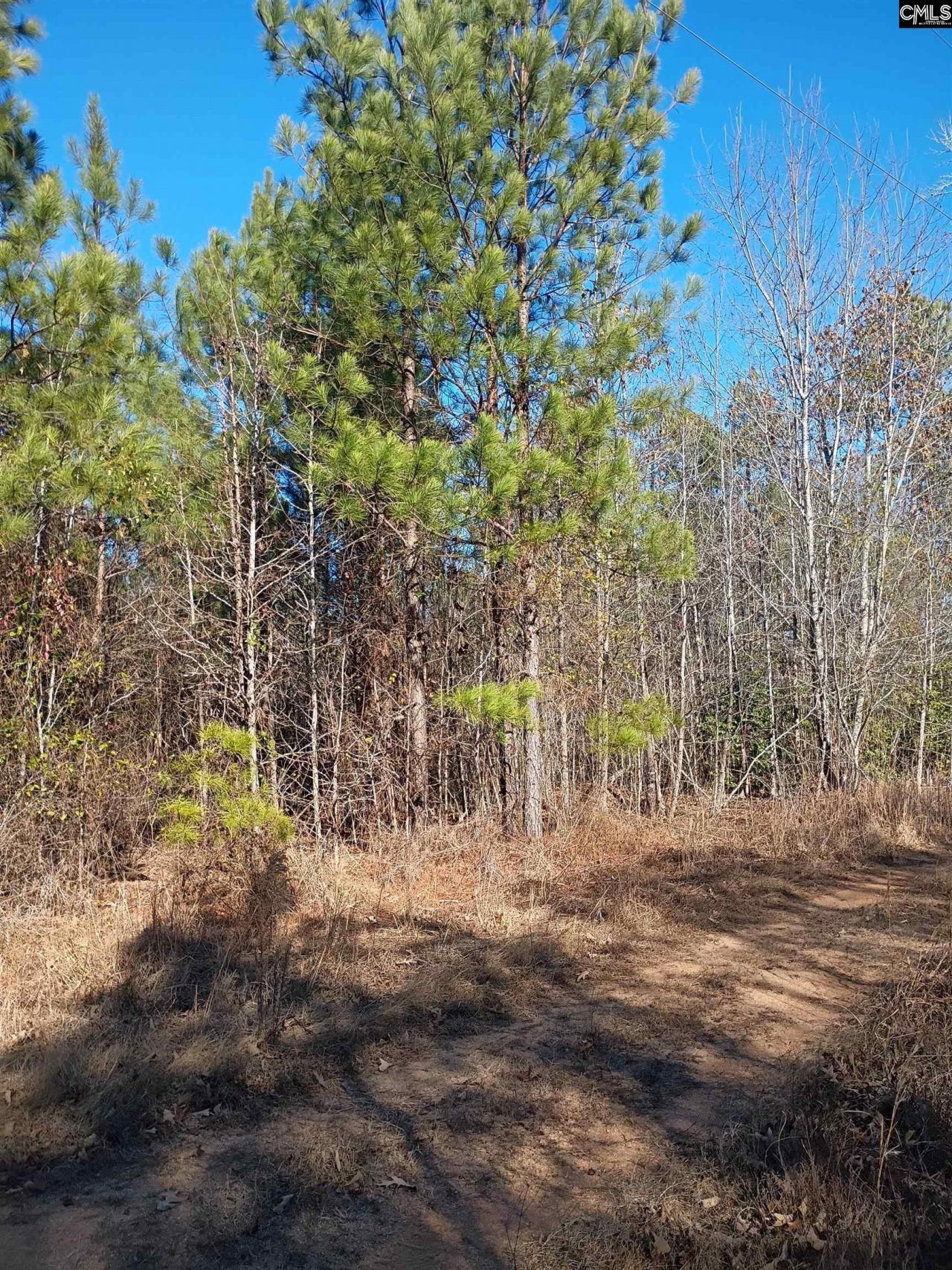 1164 Calvins Rd Photo 4