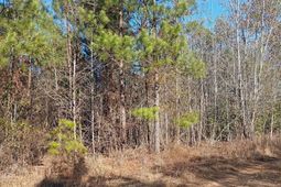 1164 Calvins Rd photo 4