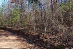 1164 Calvins Rd photo 4