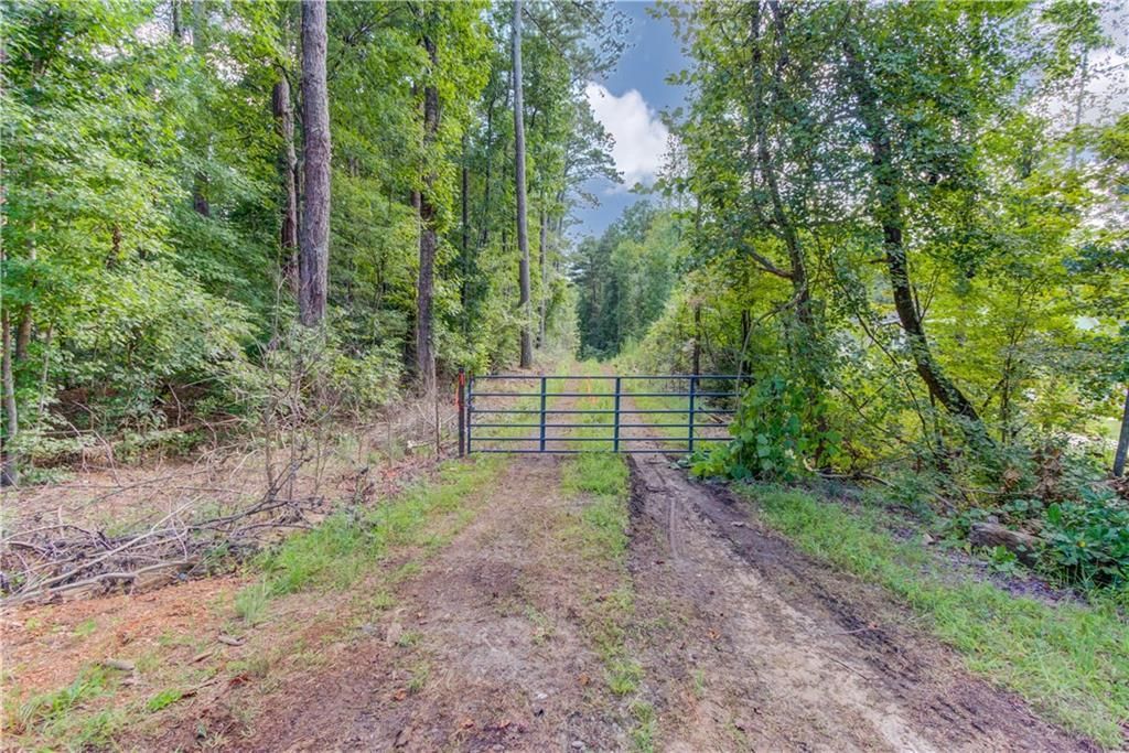 6350 Blackjack Road, Flowery Branch, GA 30542 Main Photo