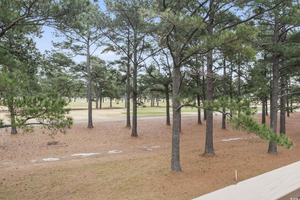 4002 Fairway Lakes Dr. Photo 15