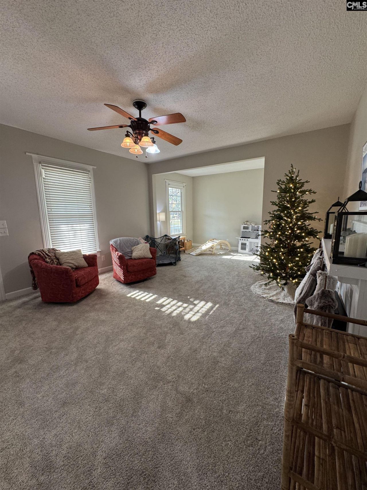 120 Old Chapin Road  Photo 30