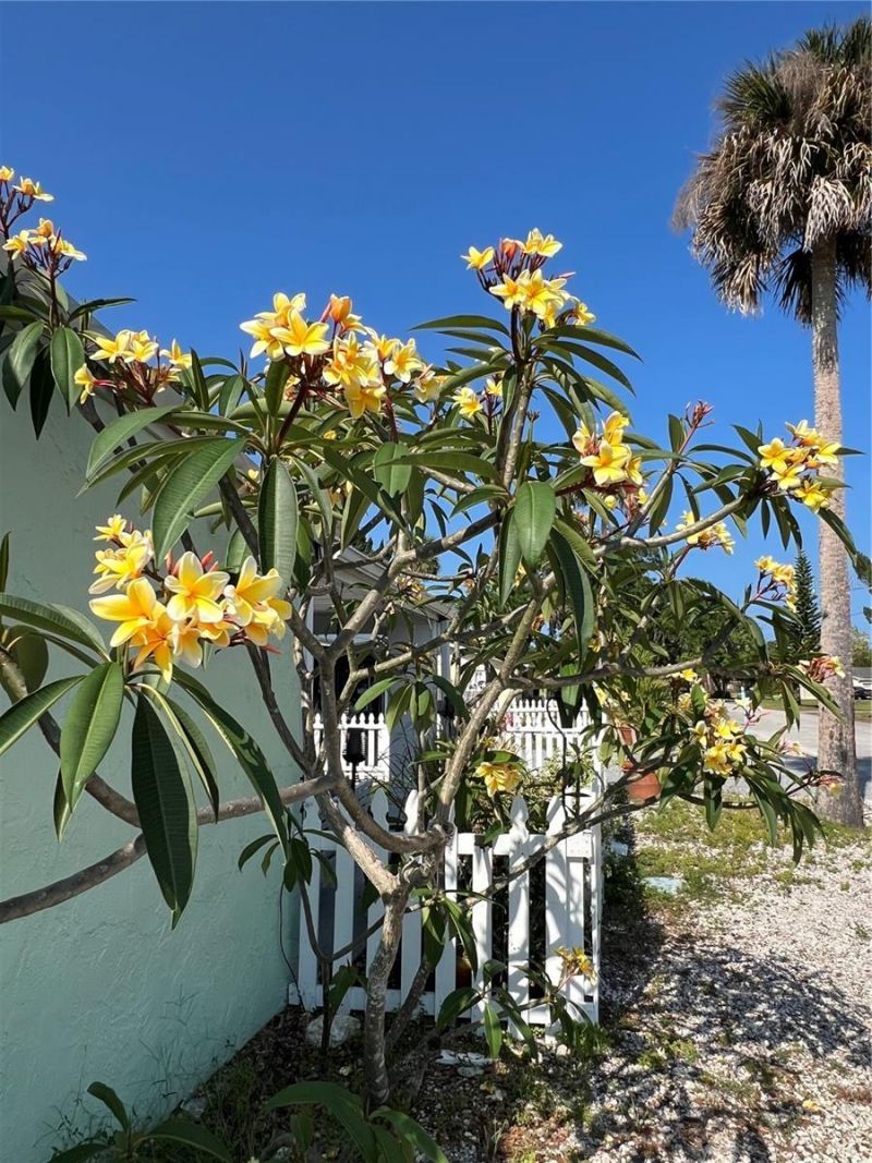 1711 Magnolia Street, New Smyrna Beach, FL 32168 Photo