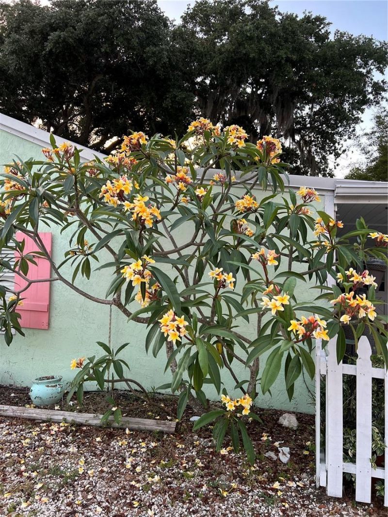 1711 Magnolia Street, New Smyrna Beach, FL 32168 Photo