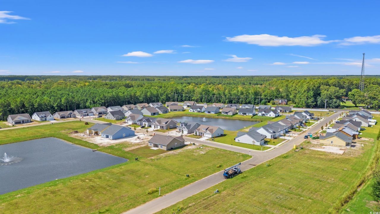 1269 Cypress Shoal Dr. Photo 29