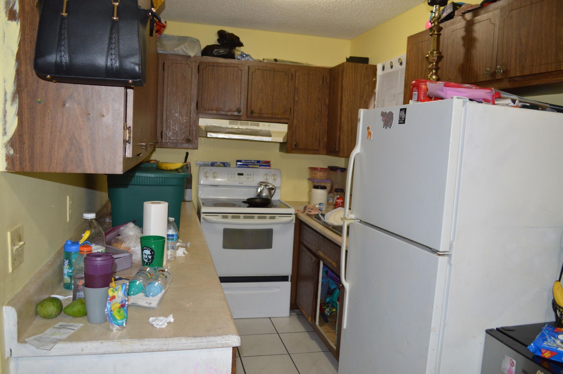 524 N F Street, Lake Worth Beach, FL 33460 Photo