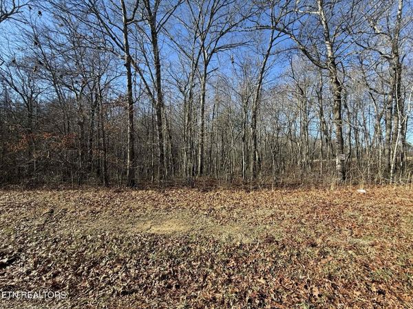Georgee Road, Lot 14, Jamestown, TN 38556