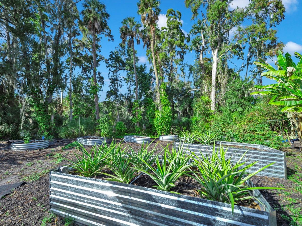 11562 Monette Road, Riverview, FL 33569 Photo