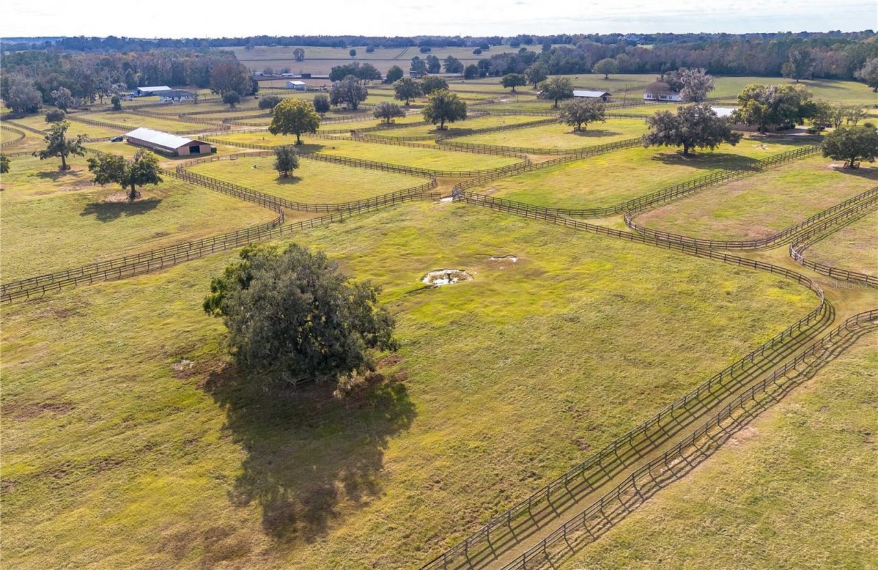 5100 W Hwy 329, Reddick, FL 32686 Photo