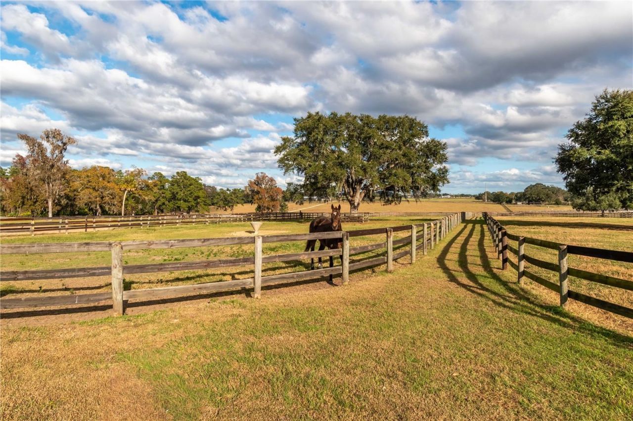 5100 W Hwy 329, Reddick, FL 32686 Photo