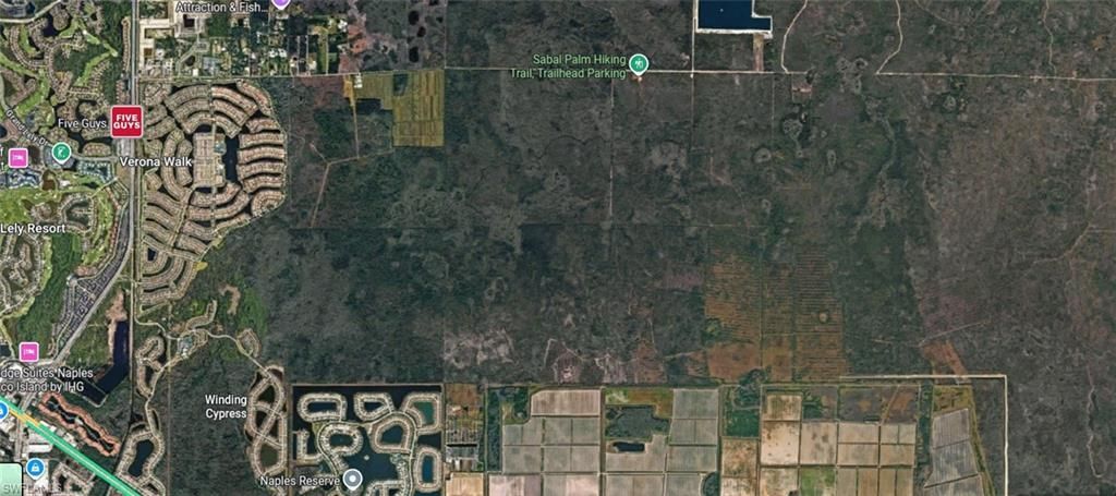 Sabal Palm Rd, Naples, FL 34114 Photo