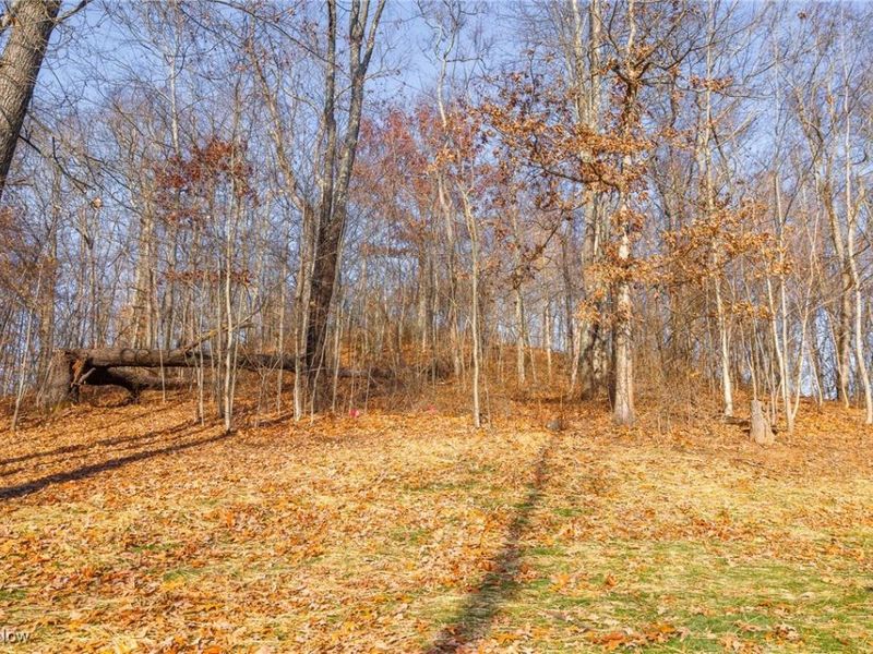 6257 Caddy Road SW, Bowerston, OH 44695 Photo 15