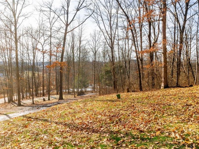 6257 Caddy Road SW, Bowerston, OH 44695 Photo 18