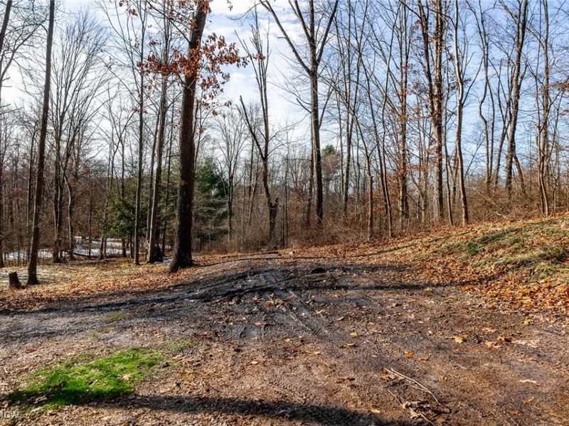 6257 Caddy Road SW, Bowerston, OH 44695 Photo 24