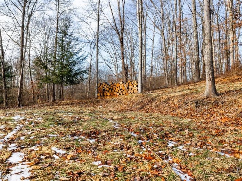 6257 Caddy Road SW, Bowerston, OH 44695 Photo 26