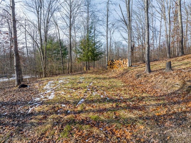 6257 Caddy Road SW, Bowerston, OH 44695 Photo 28