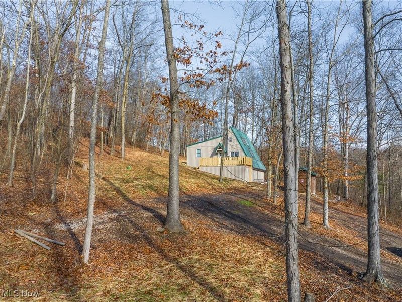 6257 Caddy Road SW, Bowerston, OH 44695 Photo 33