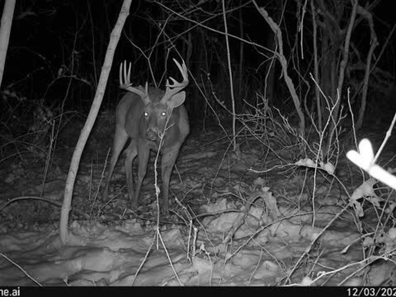 6257 Caddy Road SW, Bowerston, OH 44695 Photo 40