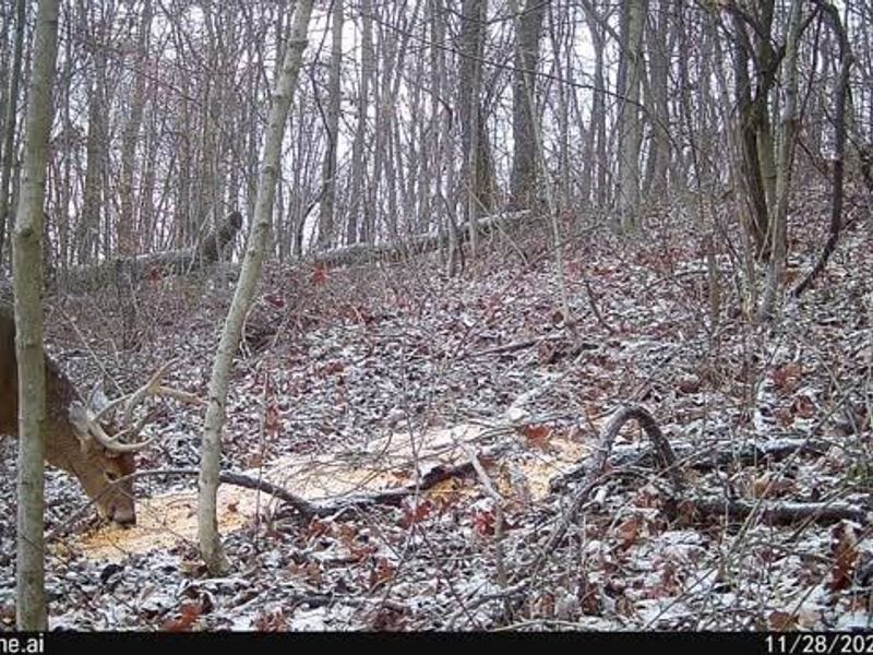 6257 Caddy Road SW, Bowerston, OH 44695 Photo 41