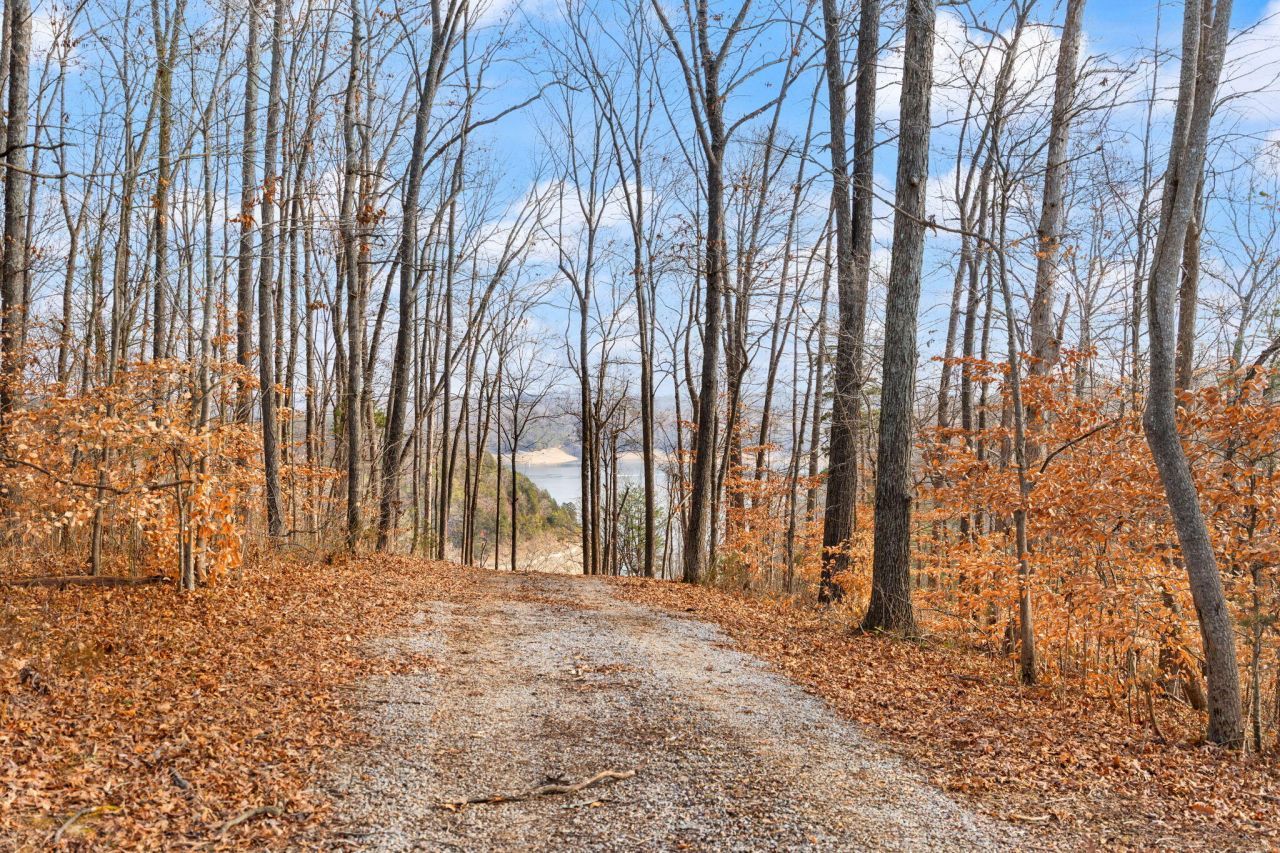 Tract 2 Hwy 196, Nancy, KY 42544 Main Photo