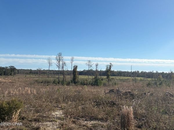 4980 Heisler Road, Graceville, FL 32440