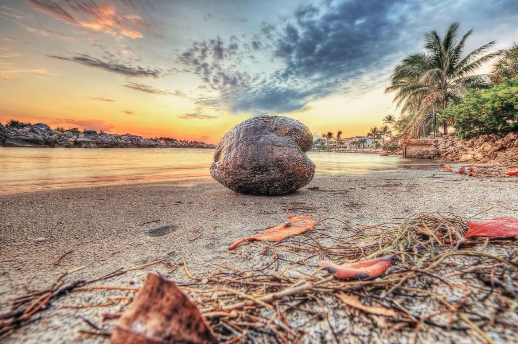 234 Shelter Lane, Jupiter Inlet Colony, FL 33469 Photo