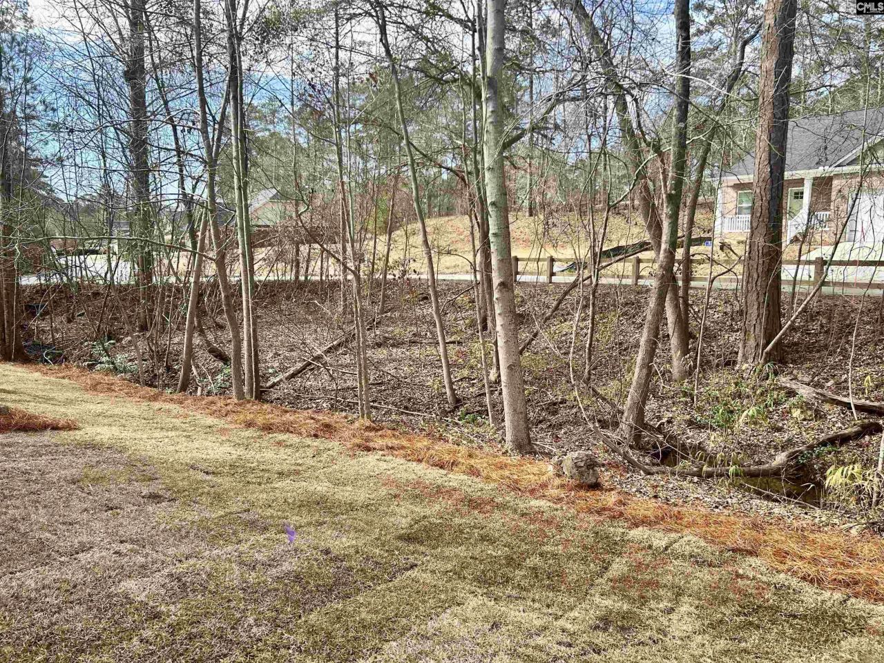 205 Quiet Side Court Photo 6