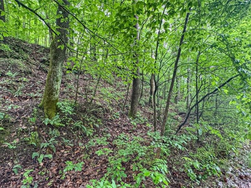 0 County Rd 46, Lower Salem, OH 45745 Photo 11