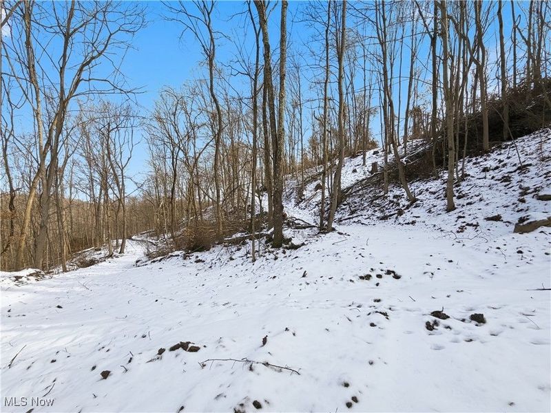 0 County Rd 46, Lower Salem, OH 45745 Photo 16