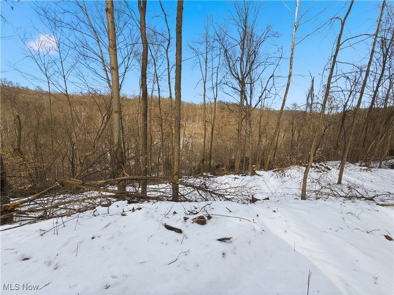 0 County Rd 46, Lower Salem, OH 45745 Photo 24