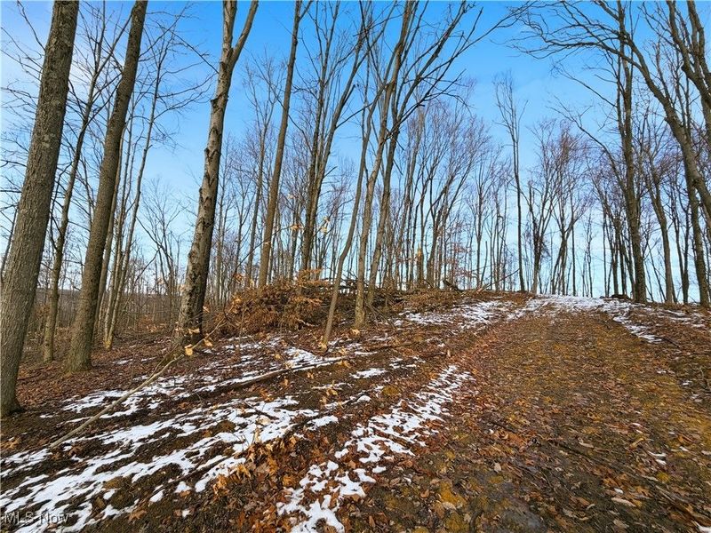 0 County Rd 46, Lower Salem, OH 45745 Photo 27