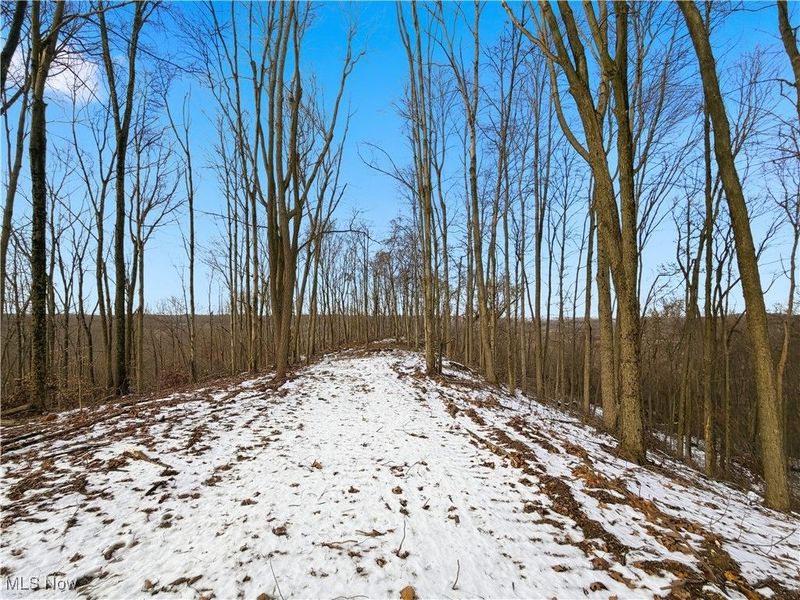 0 County Rd 46, Lower Salem, OH 45745 Photo 28