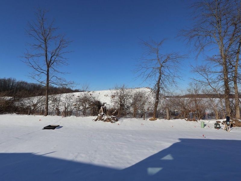 320 Cherry Hills Road, Commercial Point, OH 43116 Photo 17