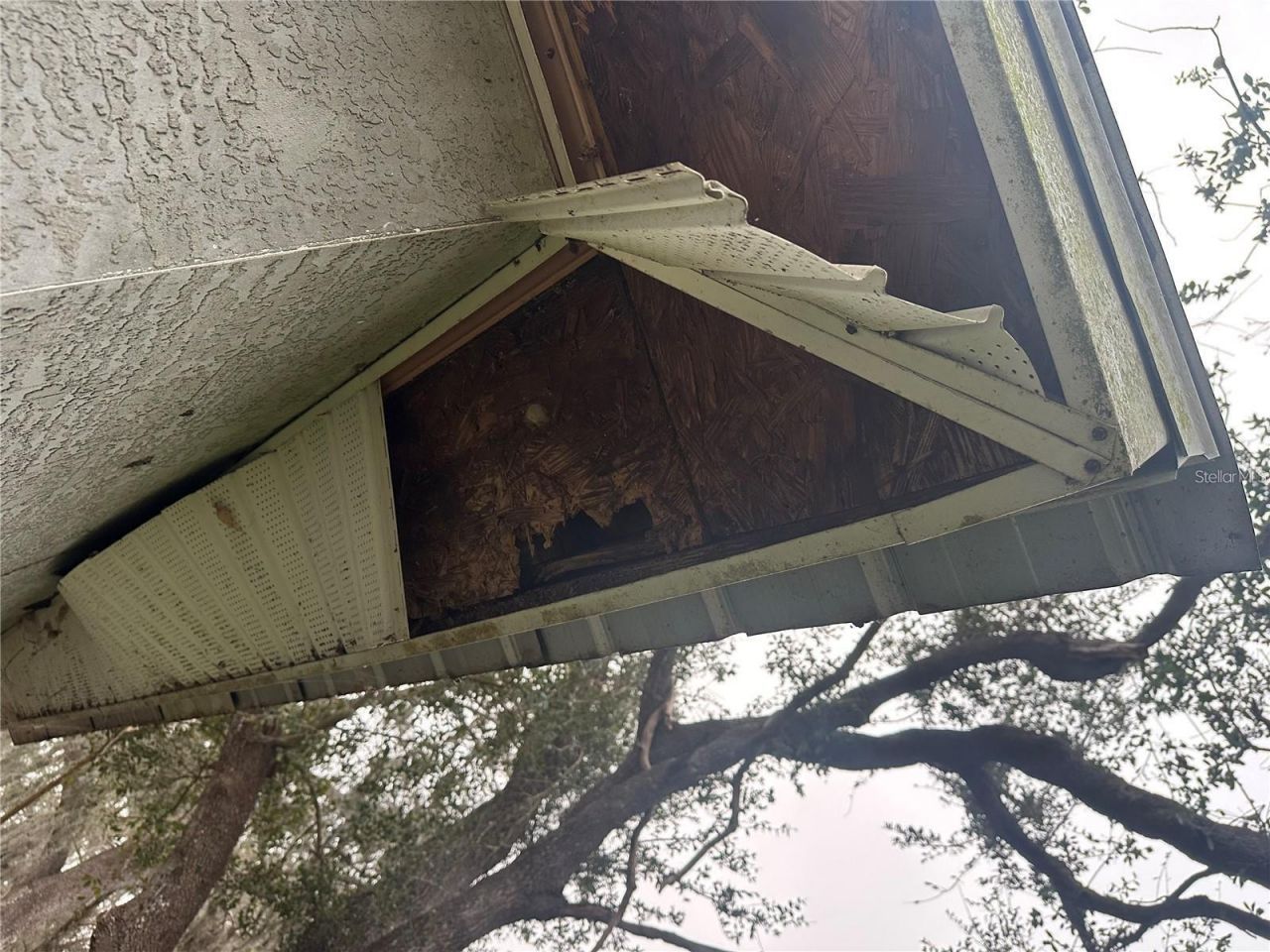 25250 E Sr 64, Myakka City, FL 34251 Photo