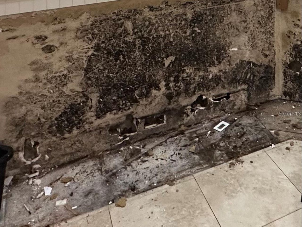 25250 E Sr 64, Myakka City, FL 34251 Photo