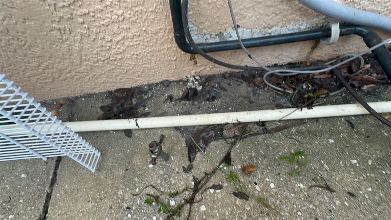 25250 E Sr 64, Myakka City, FL 34251 Photo