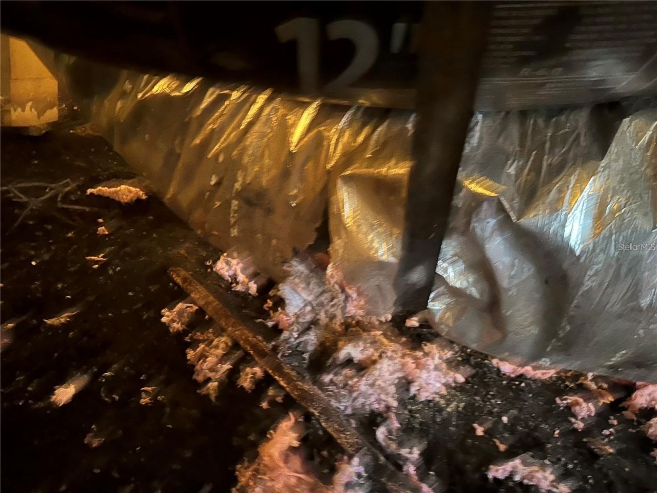 25250 E Sr 64, Myakka City, FL 34251 Photo