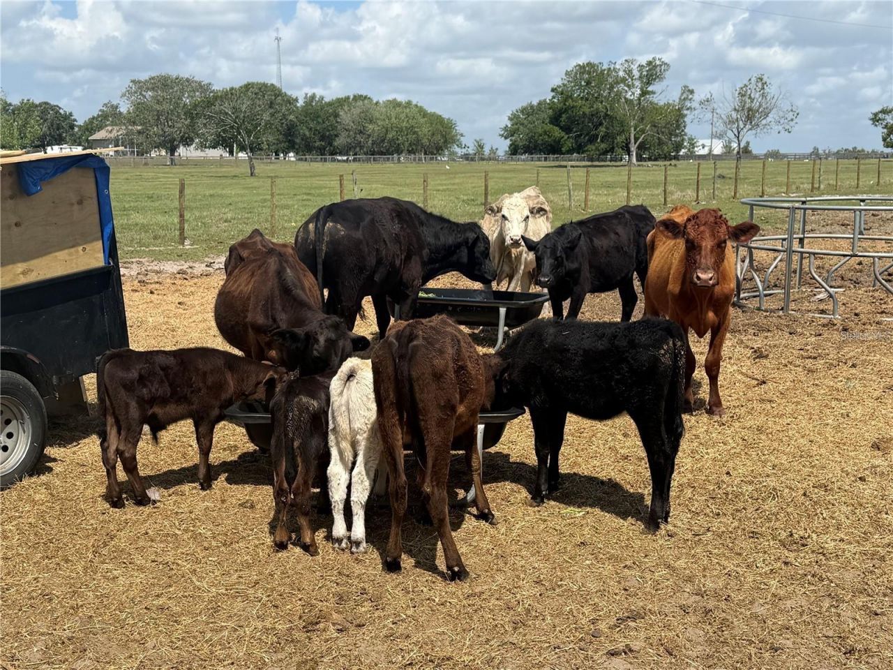 25250 E Sr 64, Myakka City, FL 34251 Photo