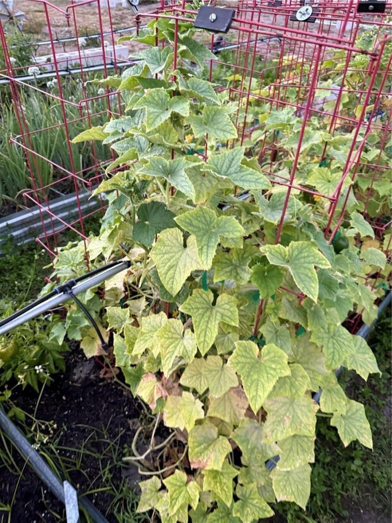 25250 E Sr 64, Myakka City, FL 34251 Photo