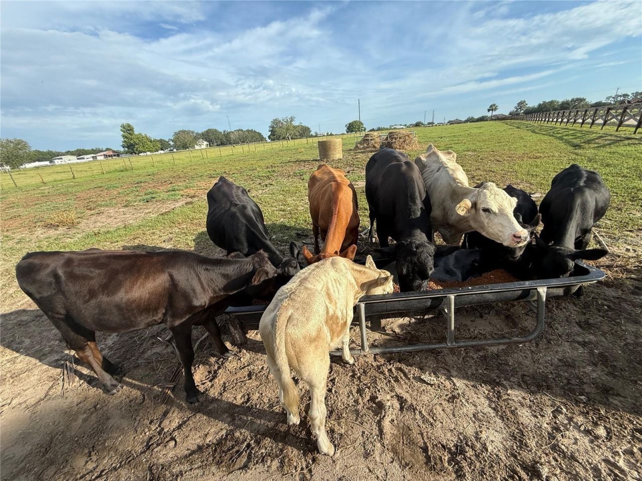 25250 E Sr 64, Myakka City, FL 34251 Photo