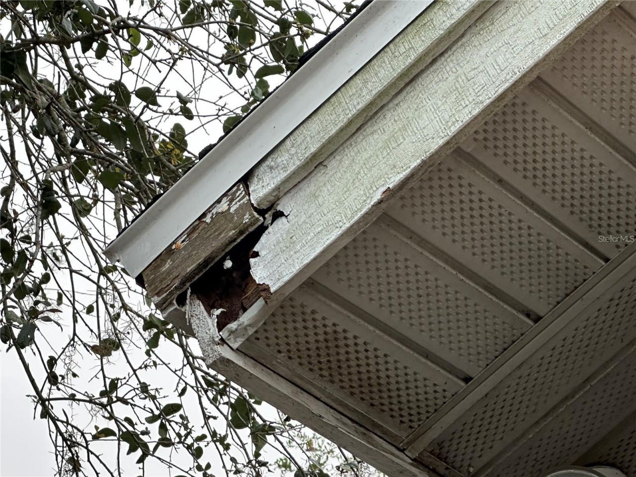 25250 E Sr 64, Myakka City, FL 34251 Photo