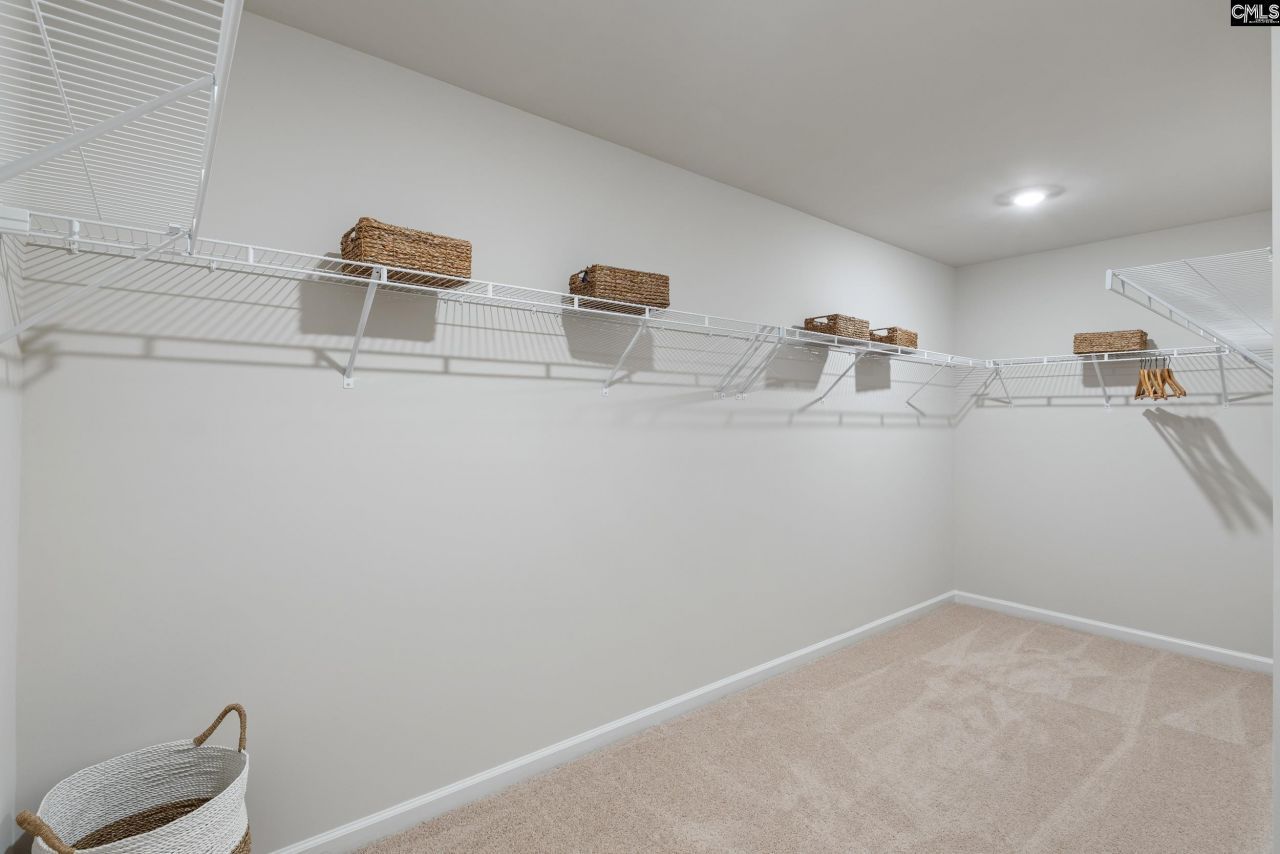 173 Calm Citadel Drive Photo 19