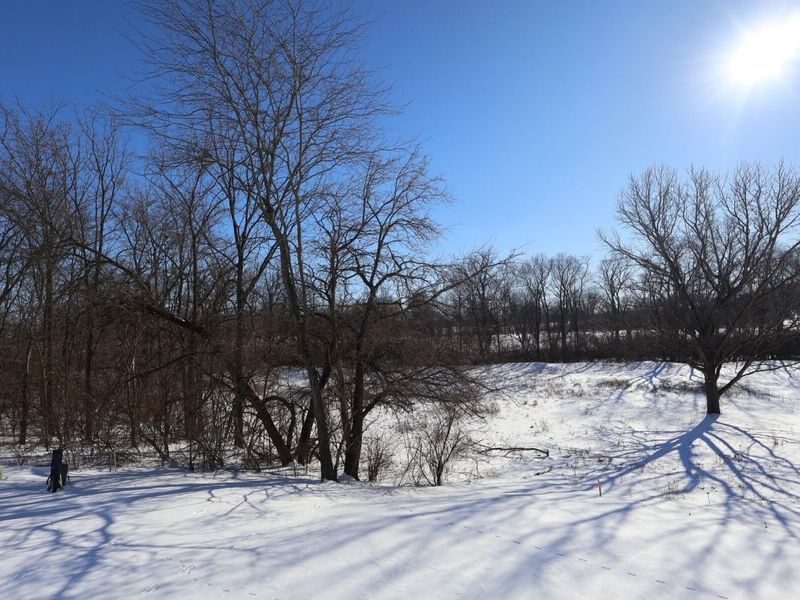 341 Merion Drive, Commercial Point, OH 43116 Photo 20