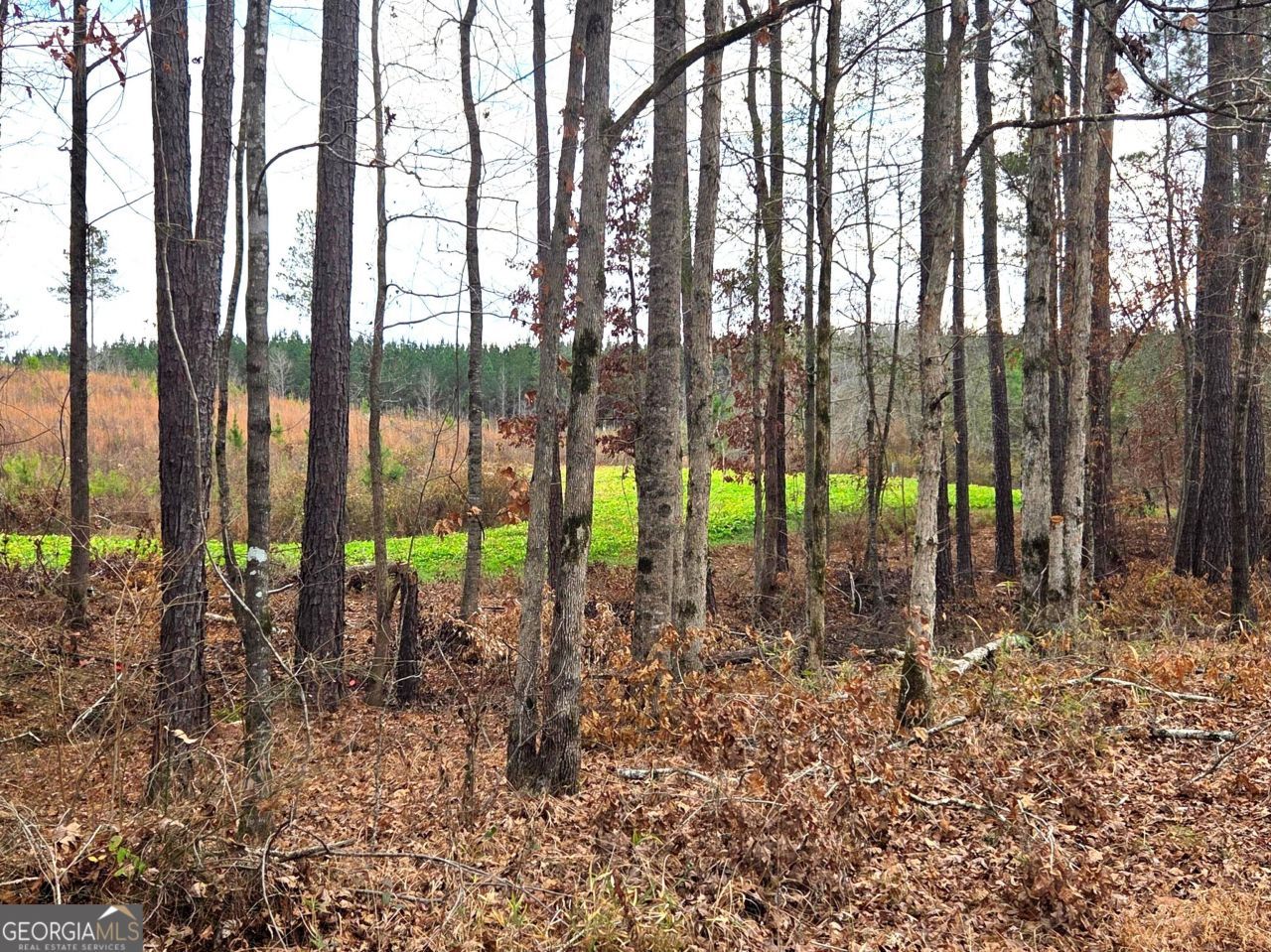 240 80 Highway, Culloden, GA 31016 Main Photo