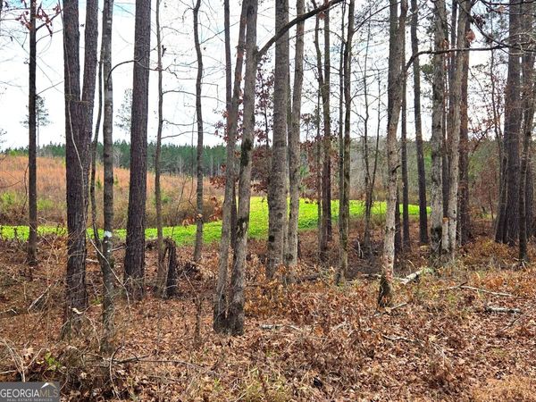 240 80 Highway, Culloden, GA 31016