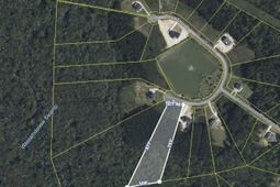 1305 Wood Sorrel Drive photo 4