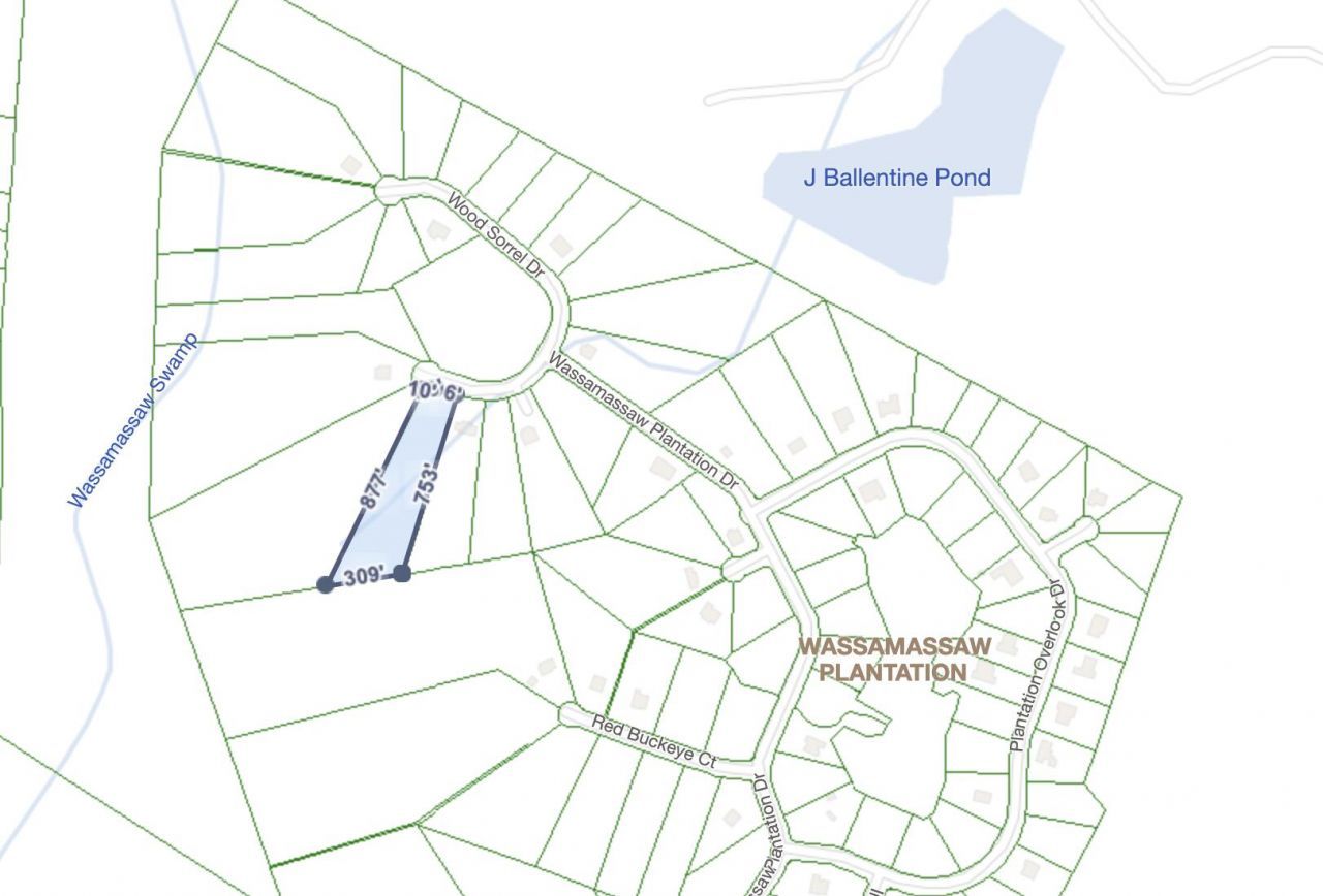 1305 Wood Sorrel Drive Photo 4