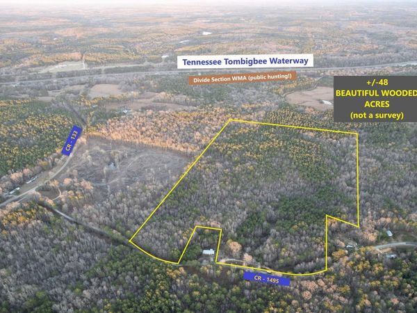 County Road 1495, Burnsville, MS 38833