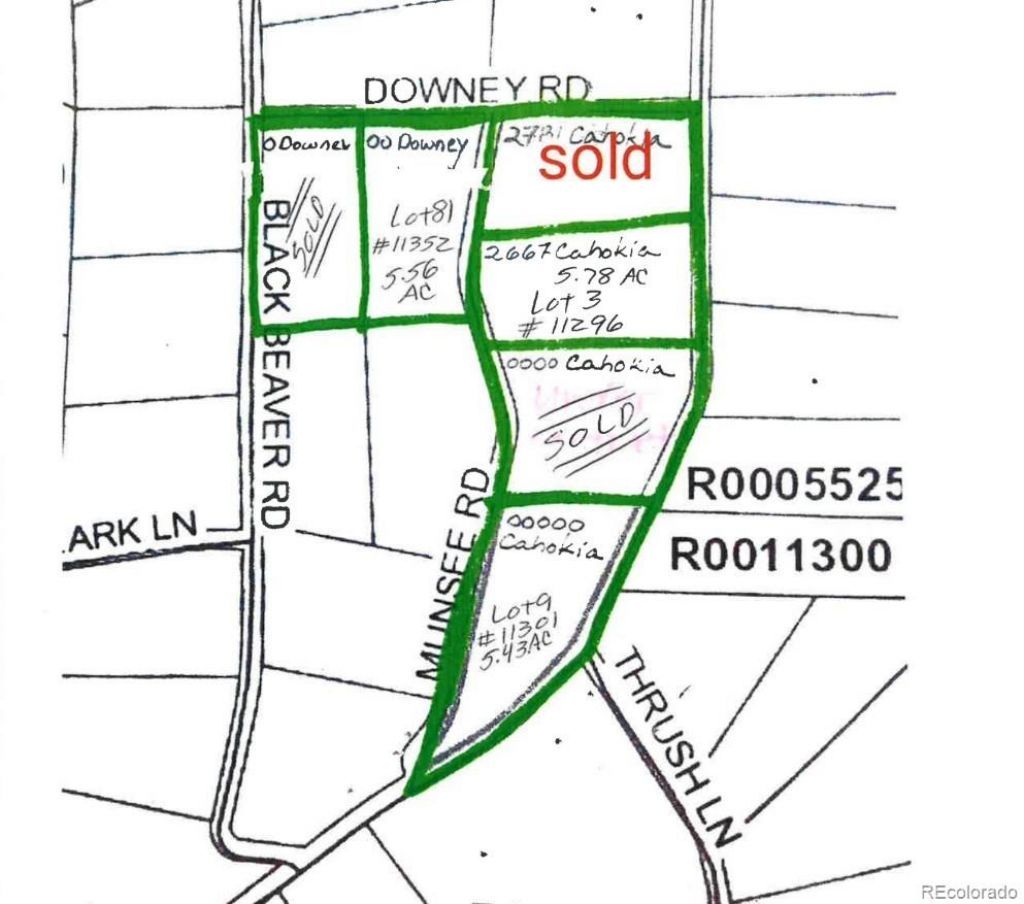 00000 Cahokia Road , Hartsel, CO 80449 Main Photo